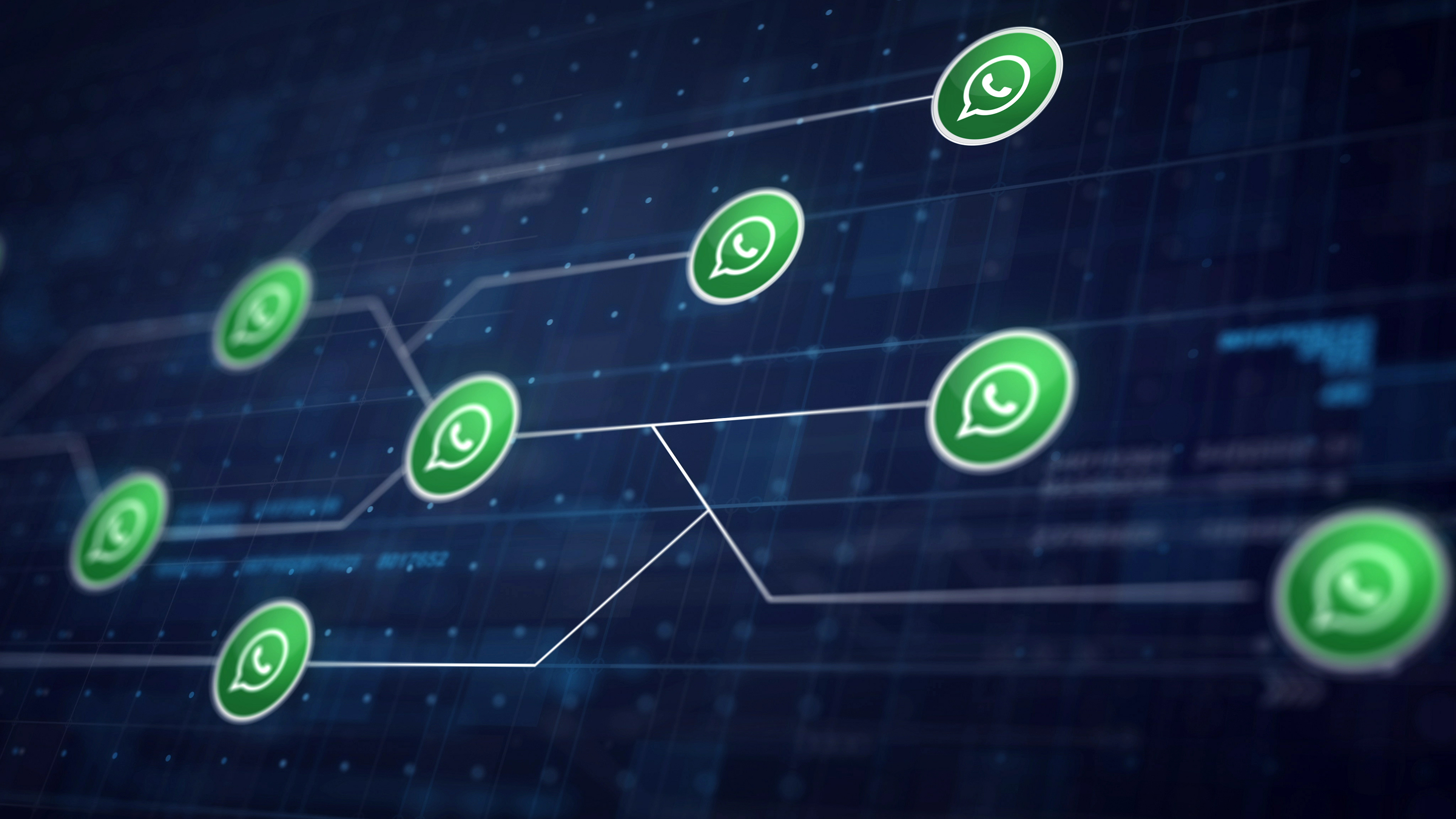 Como capturar e qualificar leads pelo WhatsApp: guia prático